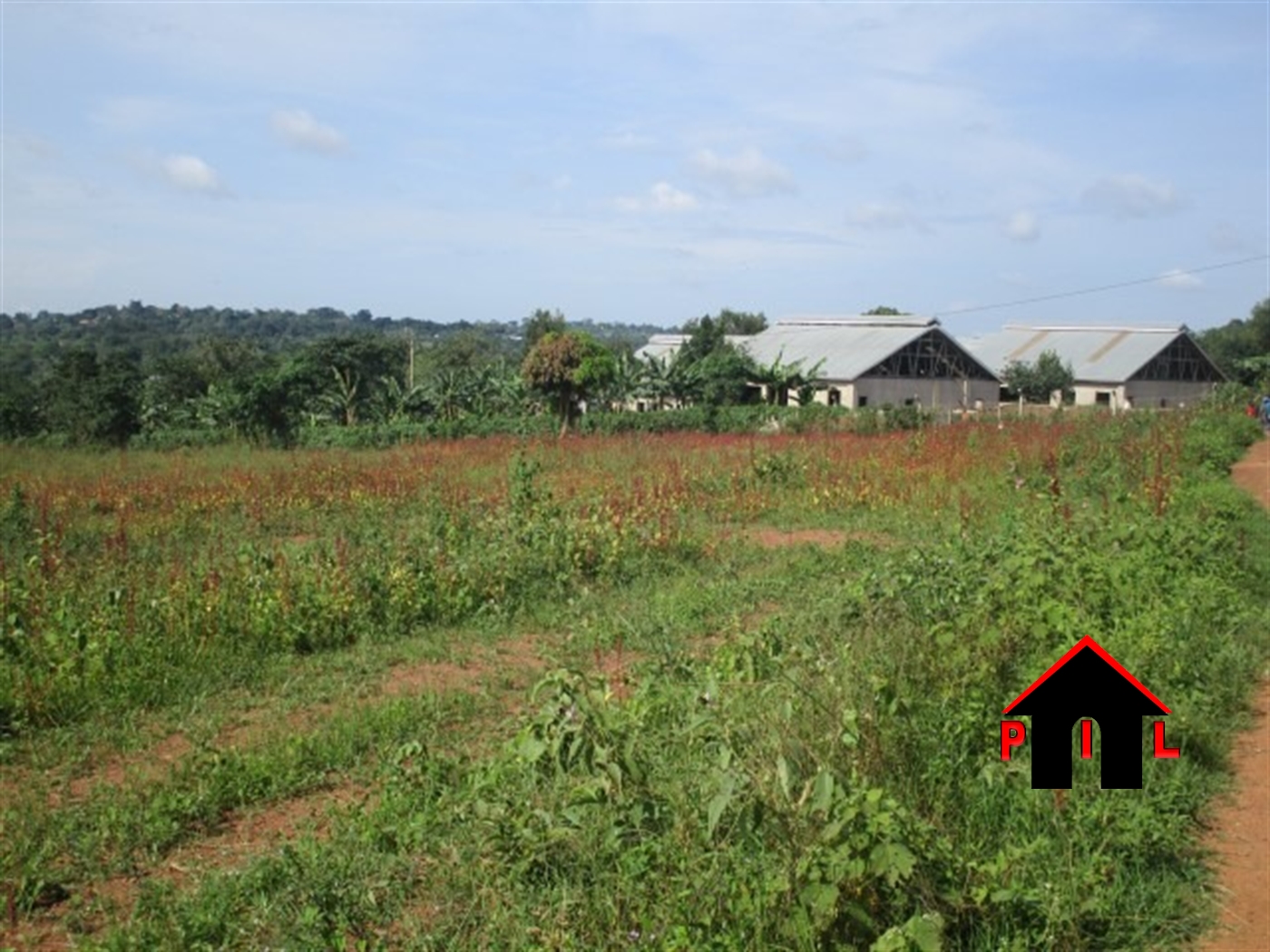 Residential Land for sale in Ddundu Wakiso