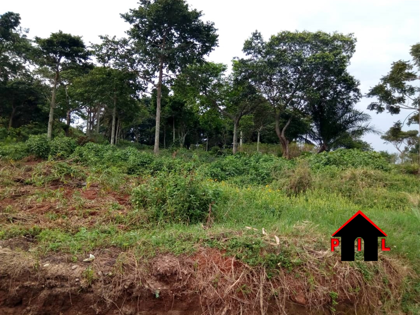 Residential Land for sale in Nakassajja Wakiso