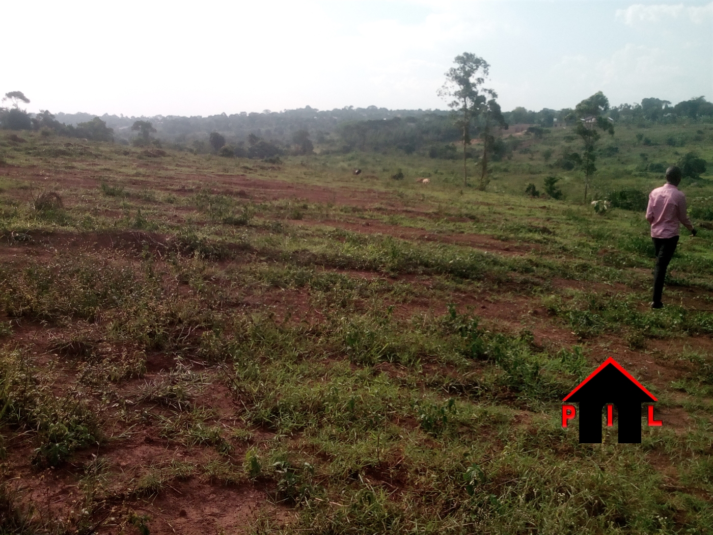 Residential Land for sale in Busukuma Wakiso