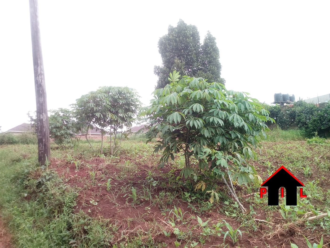 Residential Land for sale in Busukuma Wakiso