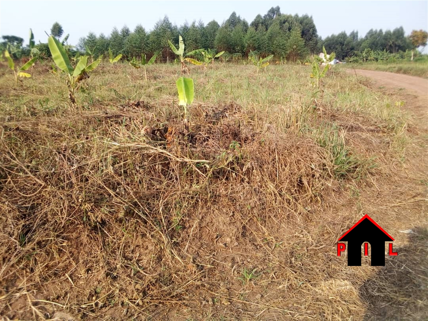 Residential Land for sale in Gayaza Wakiso