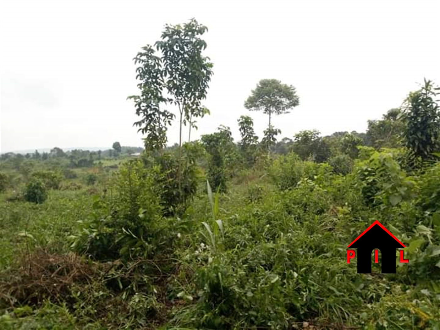 Agricultural Land for sale in Kikyuusa Luweero