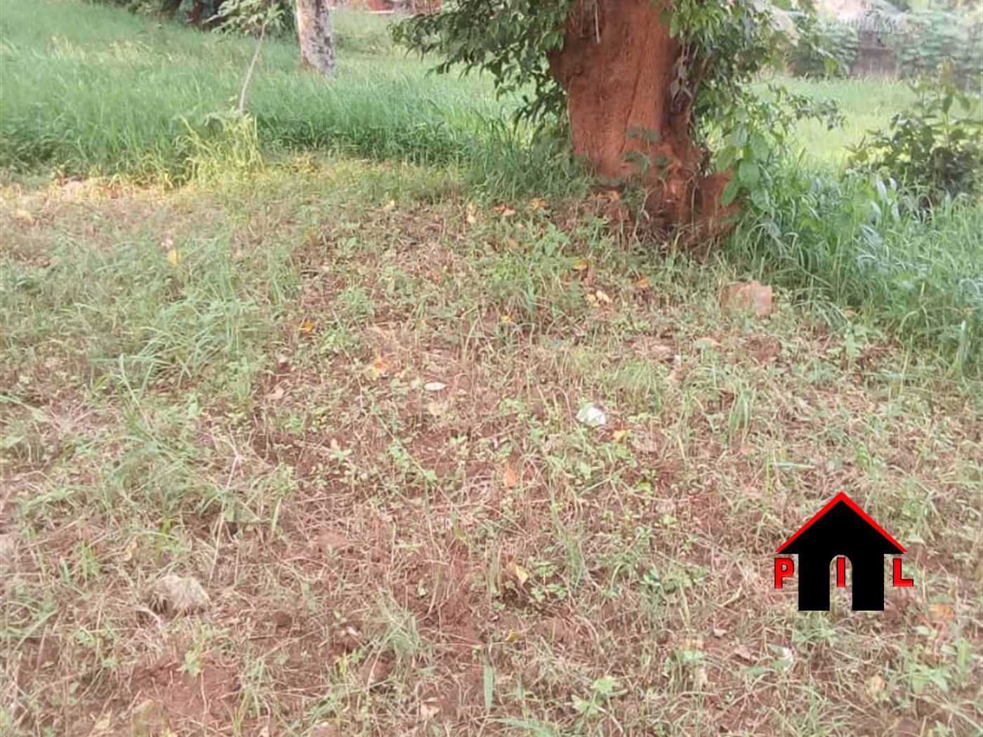 Residential Land for sale in Kisaasi Kampala