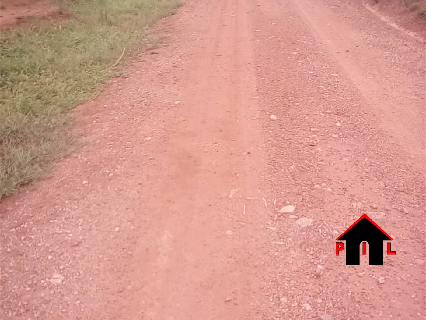 Agricultural Land for sale in Nabisojjo Nakaseke