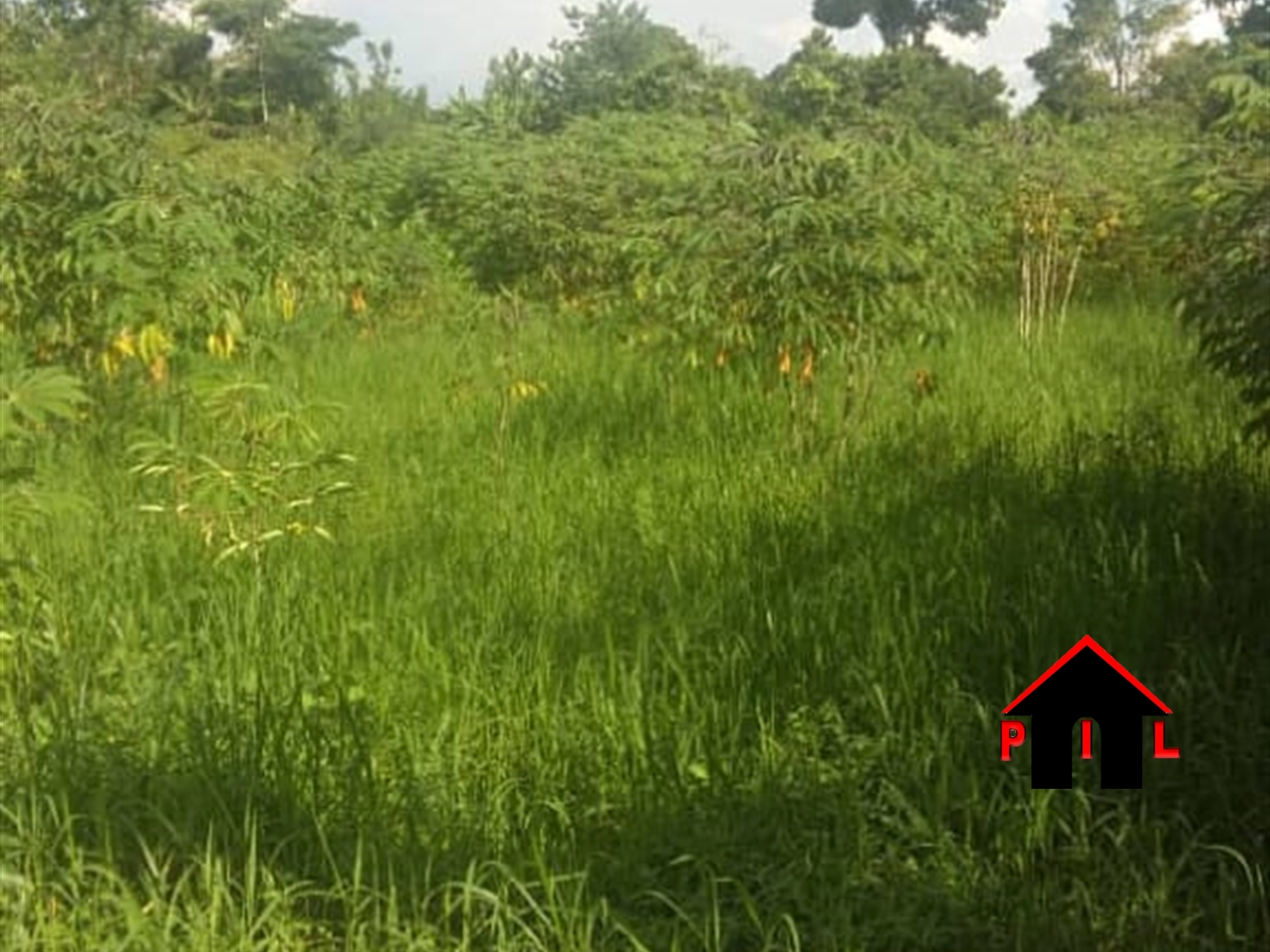 Residential Land for sale in Bugiri Wakiso