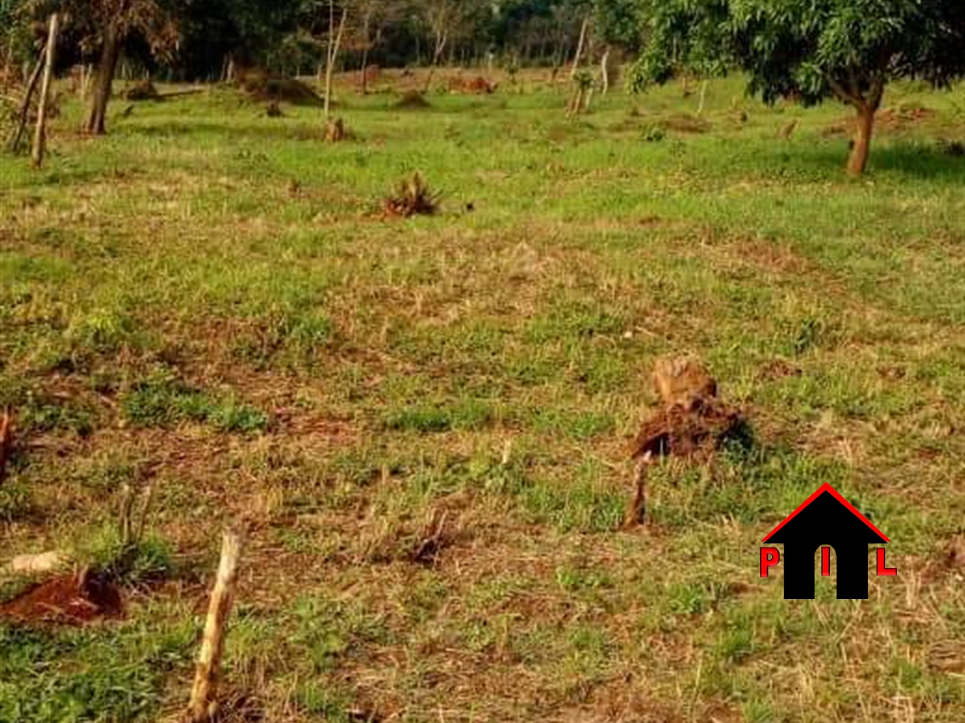 Agricultural Land for sale in Kikyuusa Luweero