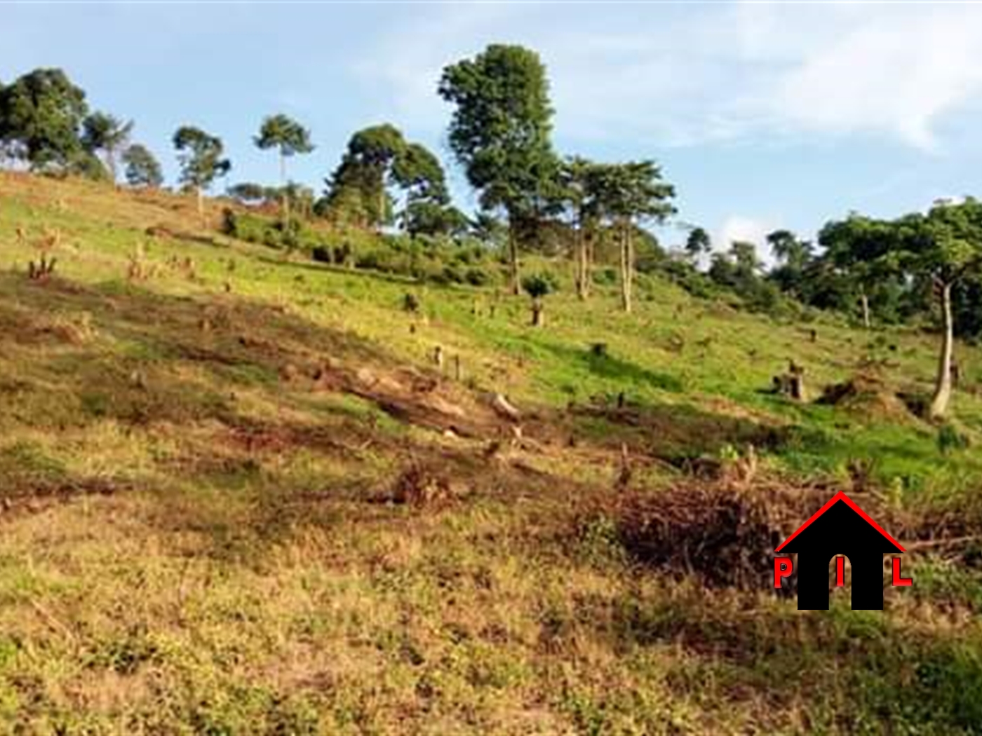 Agricultural Land for sale in Kikyuusa Luweero