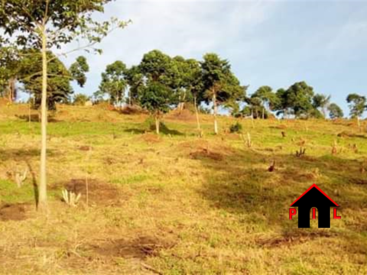 Agricultural Land for sale in Kikyuusa Luweero