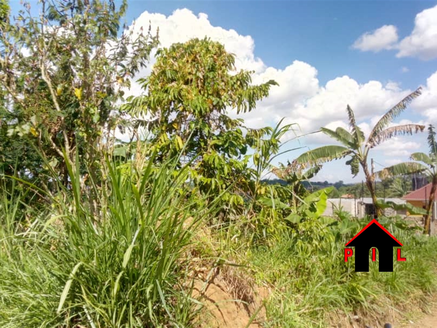 Agricultural Land for sale in Kapeeka Nakaseke