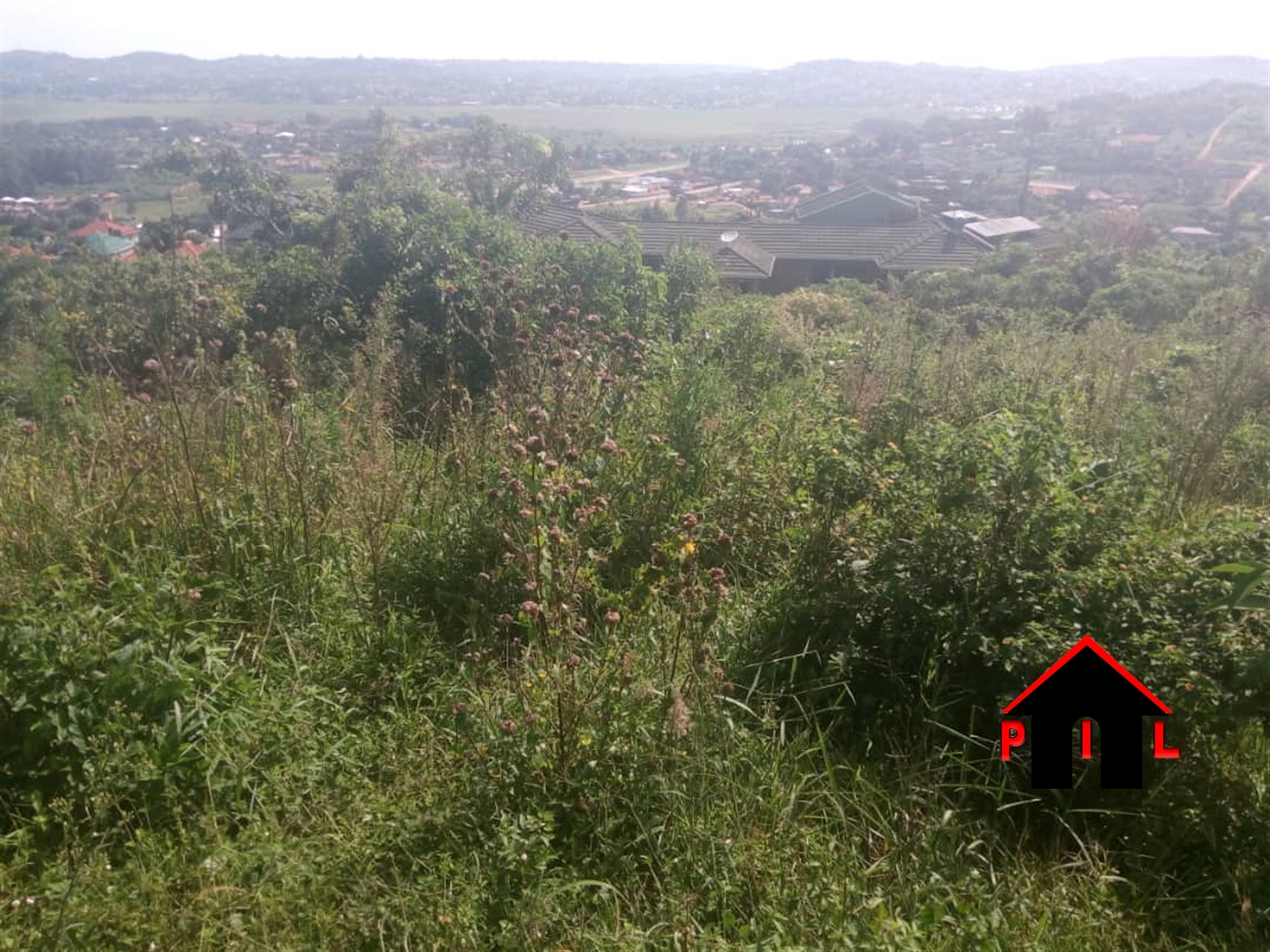 Agricultural Land for sale in Bombo Luweero