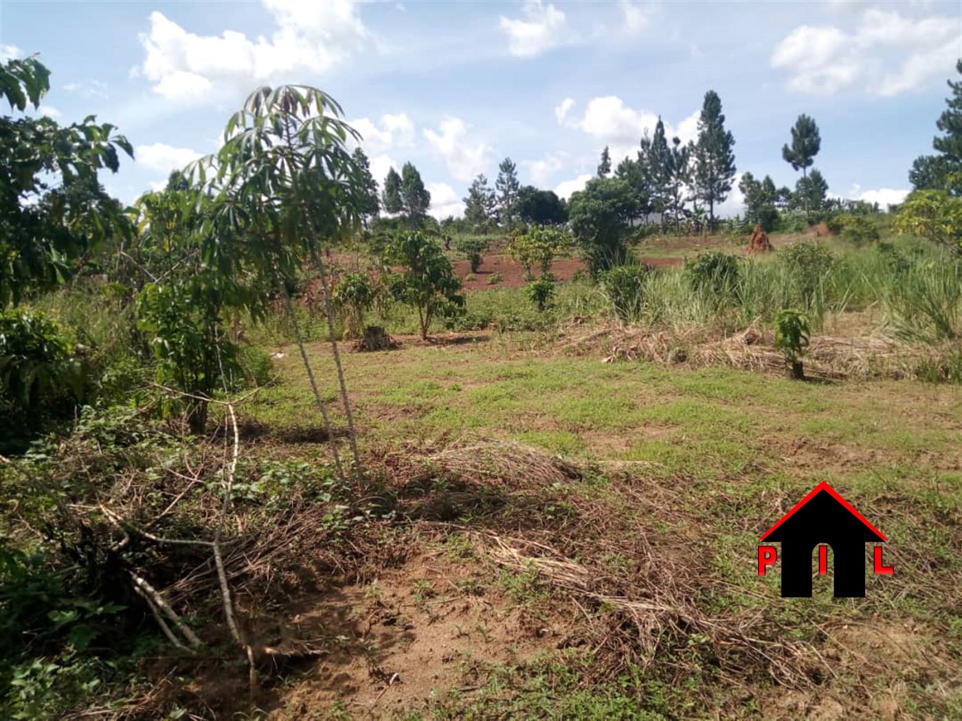 Agricultural Land for sale in Bukomelo Mityana