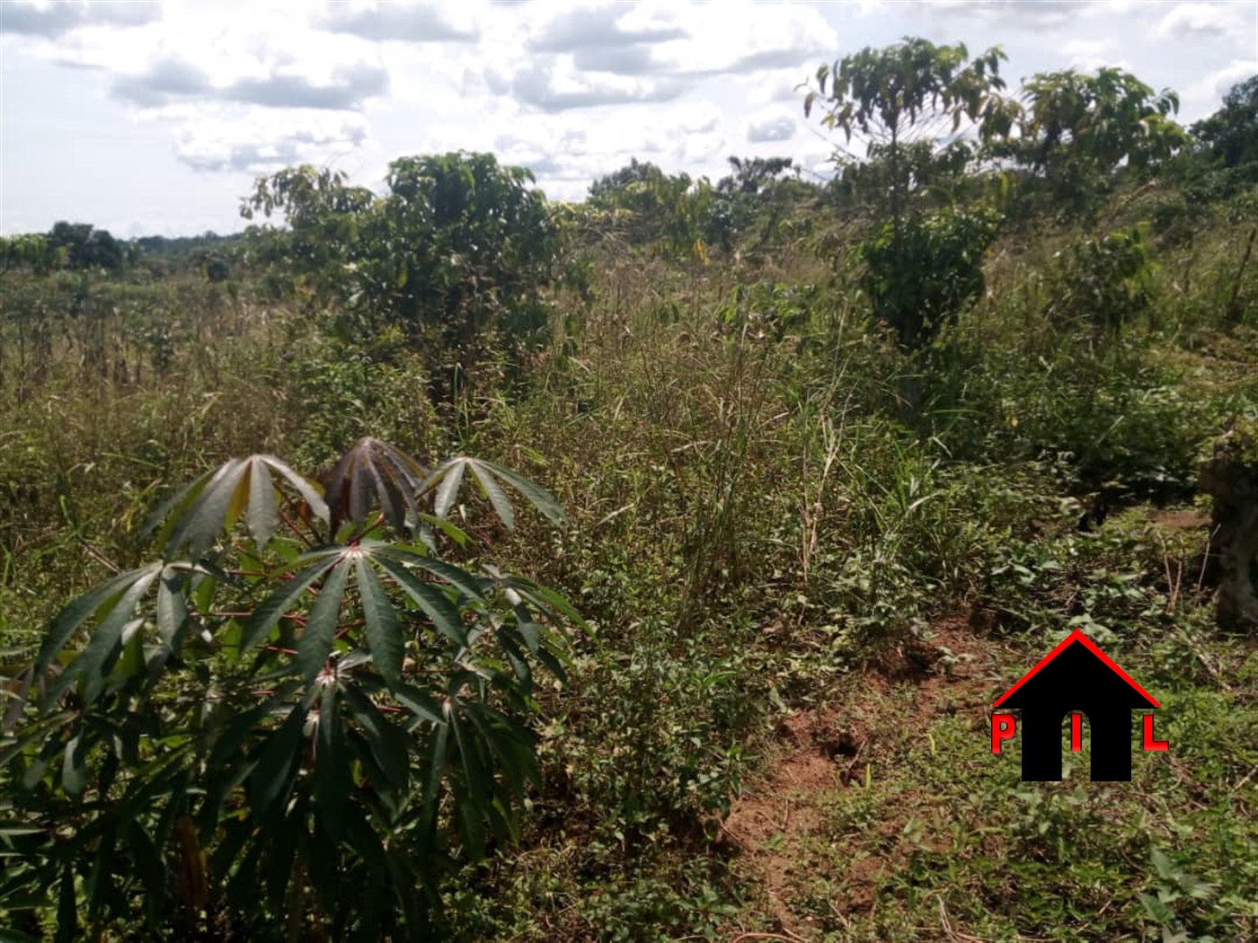 Agricultural Land for sale in Bukomelo Mityana