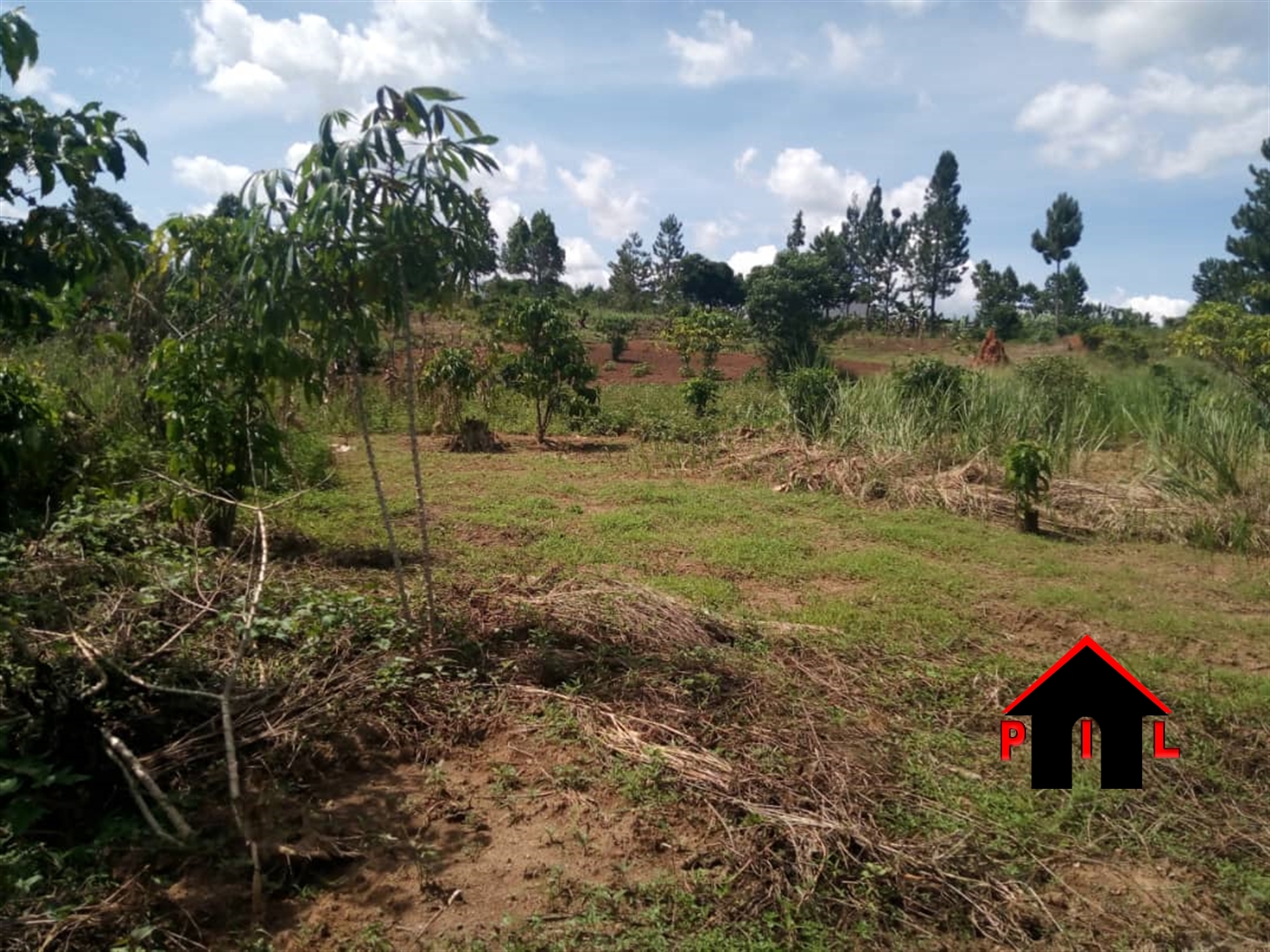 Agricultural Land for sale in Bukomelo Mityana
