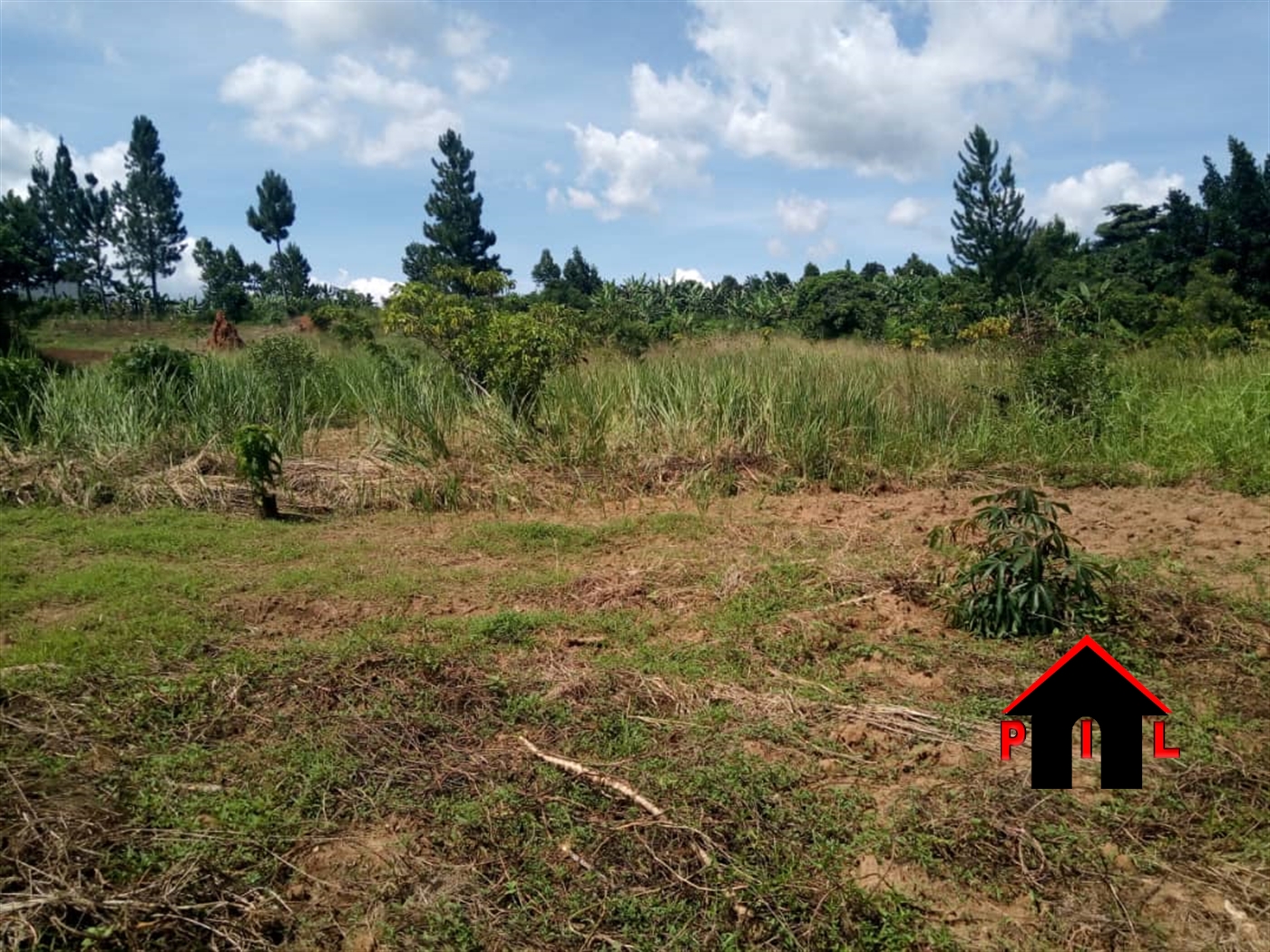 Agricultural Land for sale in Bukomelo Mityana