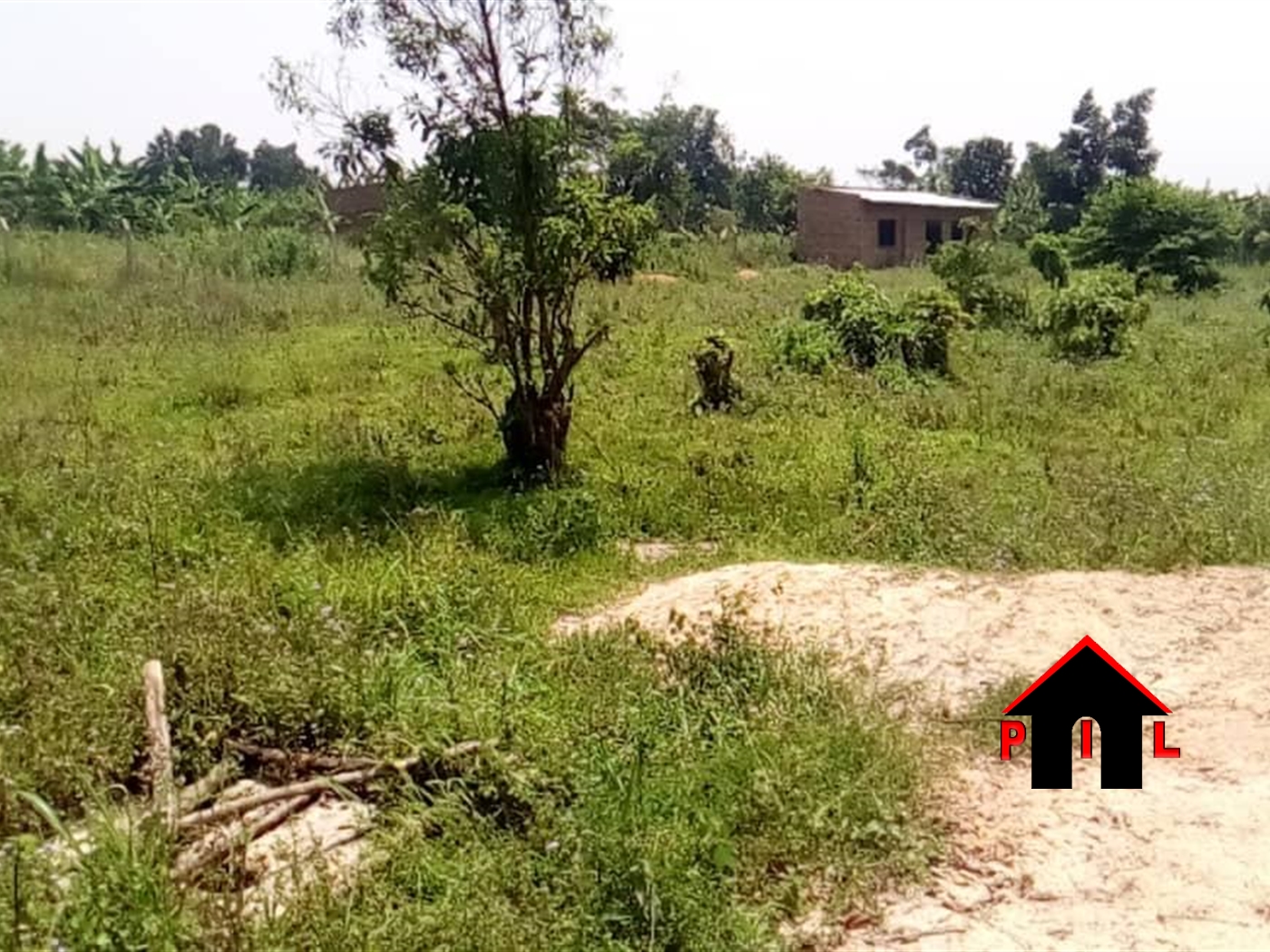 Agricultural Land for sale in Mityana Mityana
