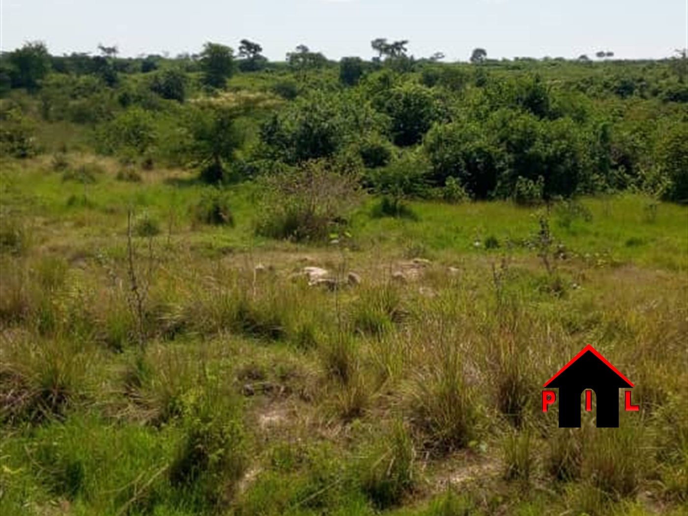 Agricultural Land for sale in Butalangu Nakaseke