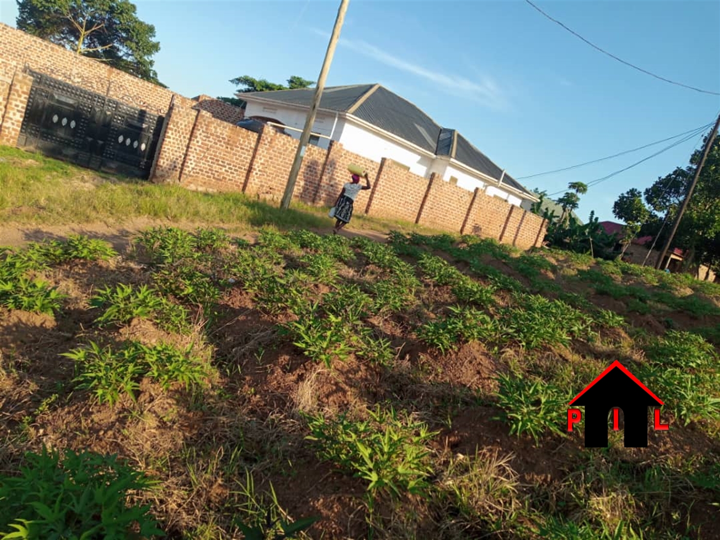 Residential Land for sale in Bukeelele Mukono