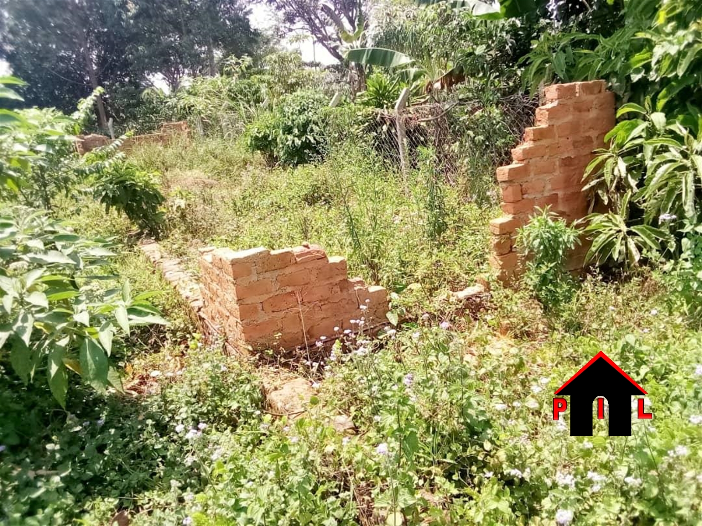 Agricultural Land for sale in Kakiri Wakiso