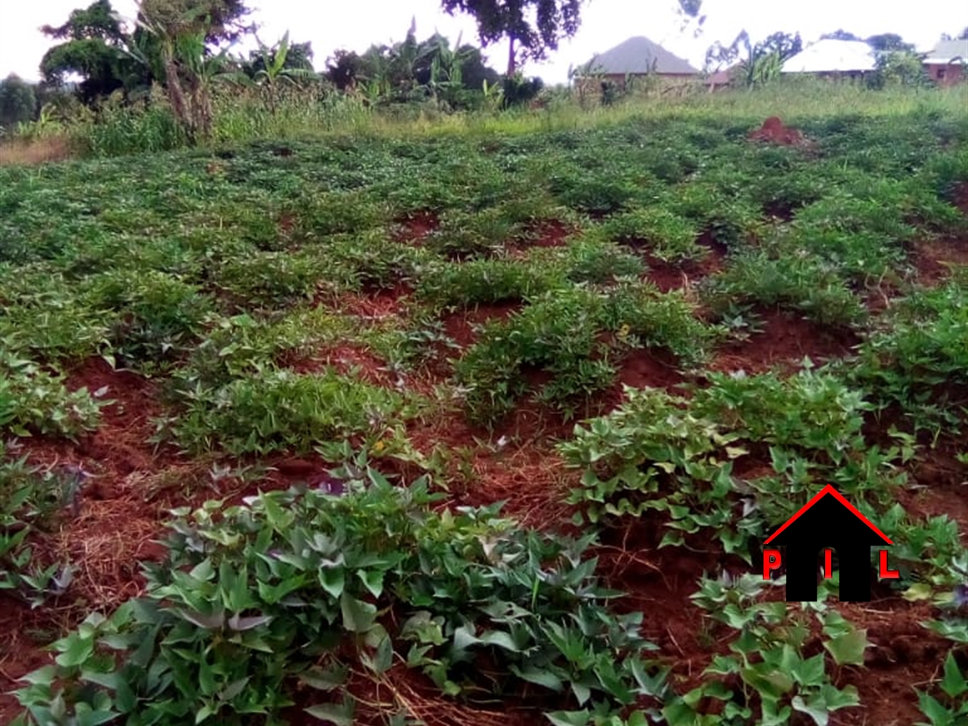 Residential Land for sale in Buloba Wakiso