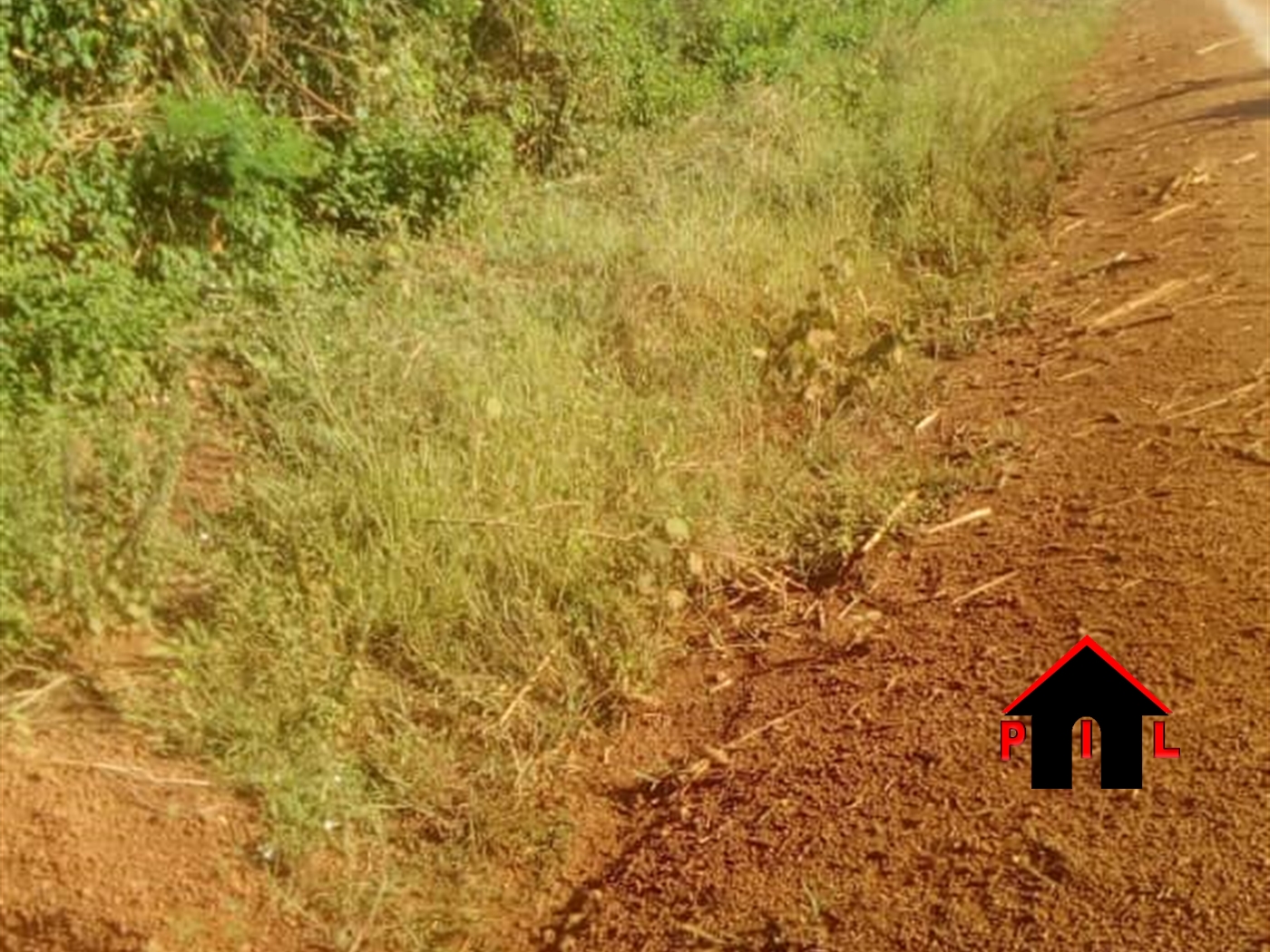 Agricultural Land for sale in Bujuuko Wakiso