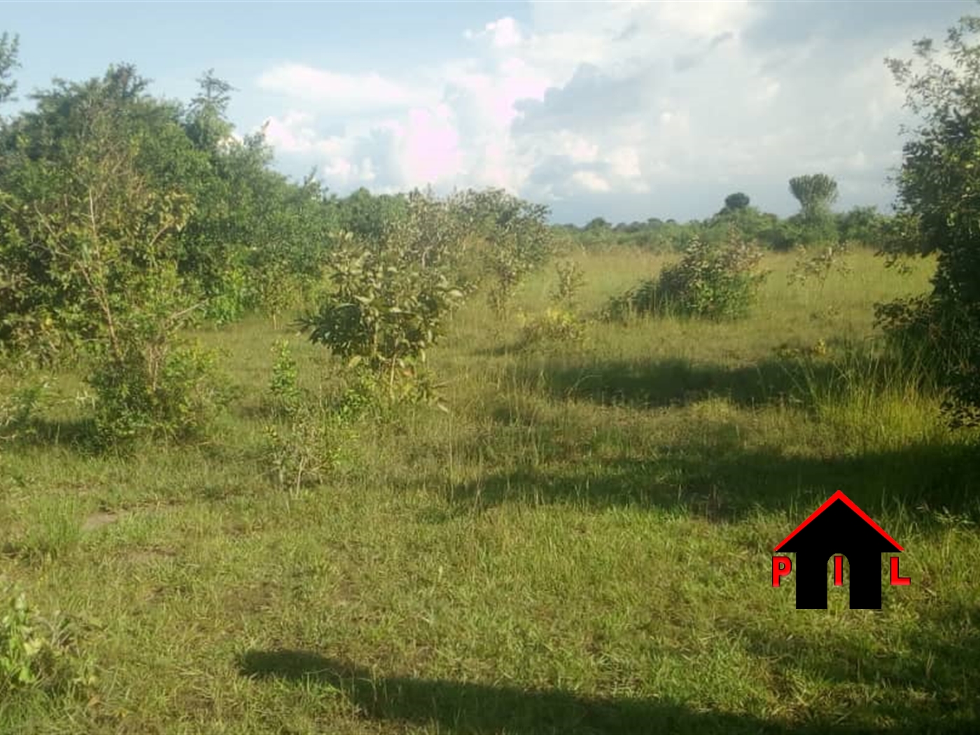 Agricultural Land for sale in Bujuuko Wakiso