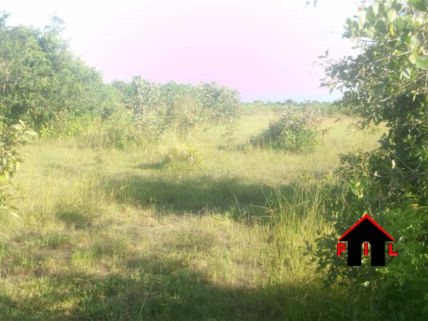 Agricultural Land for sale in Bujuuko Wakiso