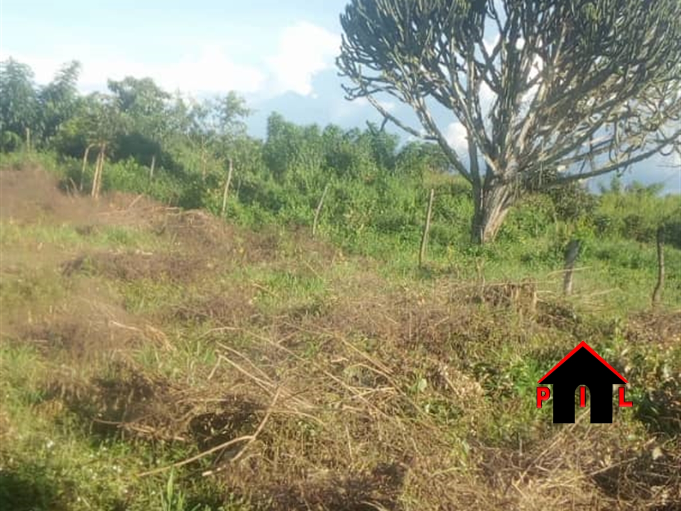 Agricultural Land for sale in Bujuuko Wakiso