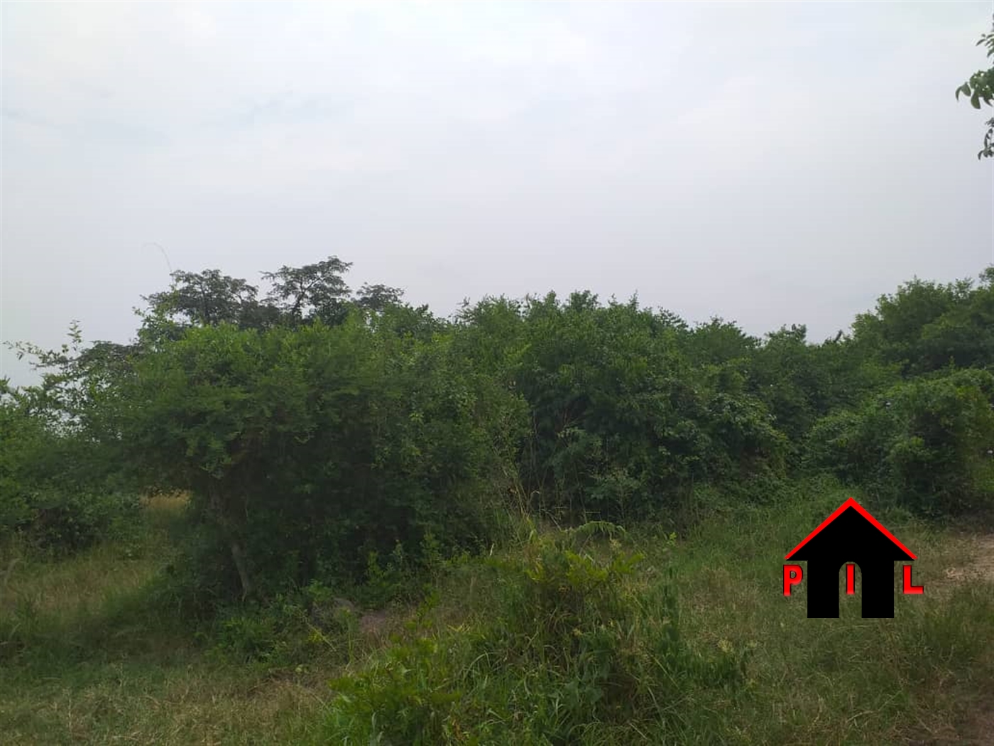 Agricultural Land for sale in Kakiri Wakiso