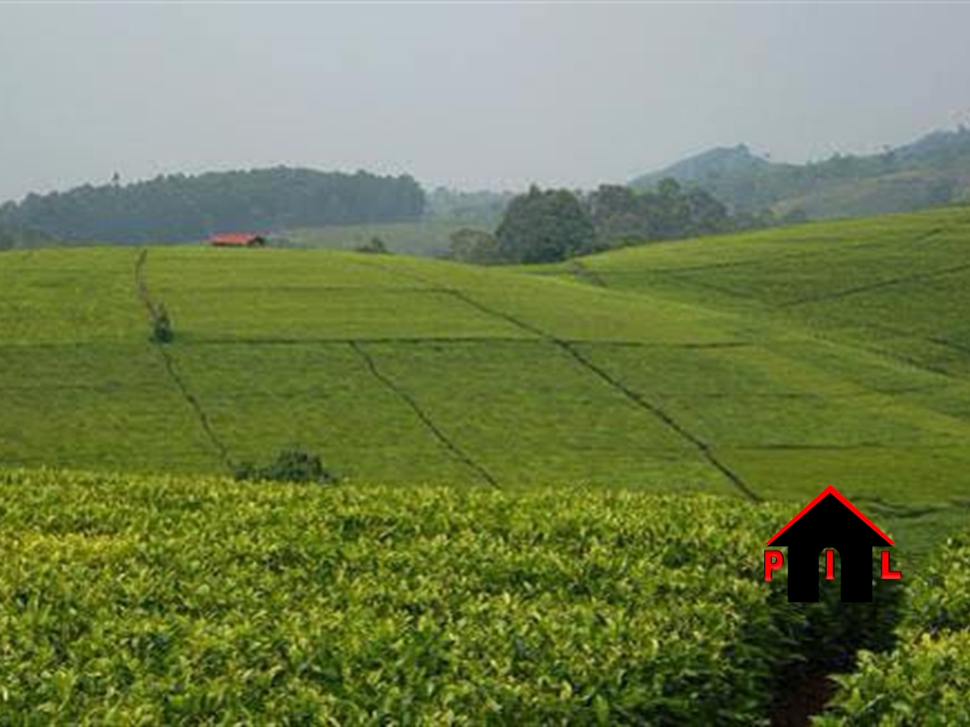 Agricultural Land for sale in Fortportal Kabarole