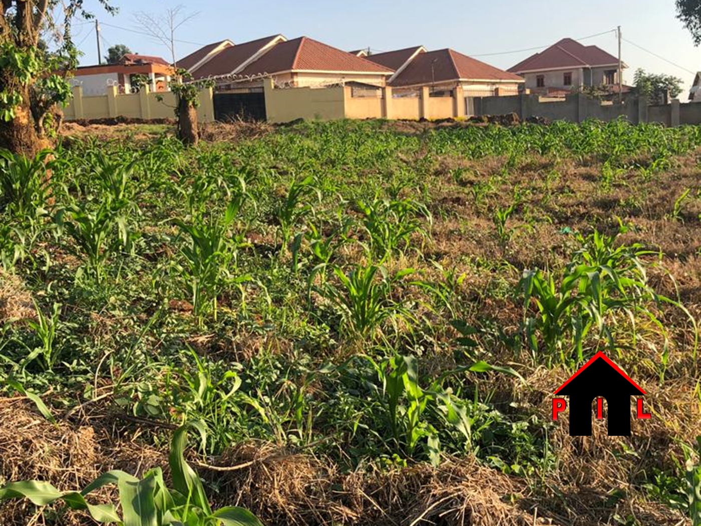 Residential Land for sale in Kimbejja Wakiso