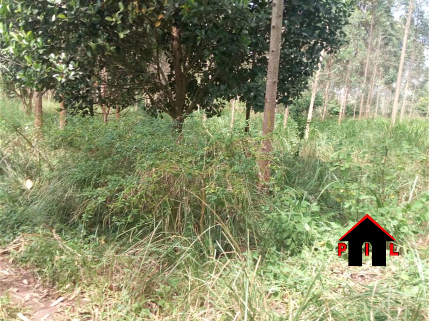 Agricultural Land for sale in Nakawuka Wakiso