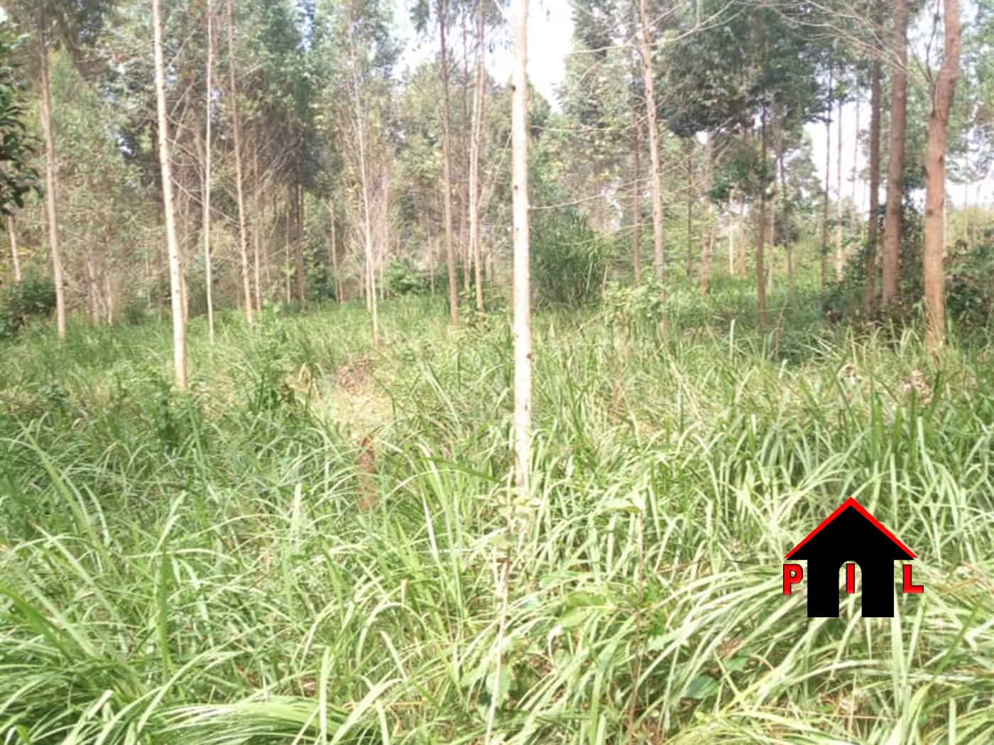 Agricultural Land for sale in Nakawuka Wakiso