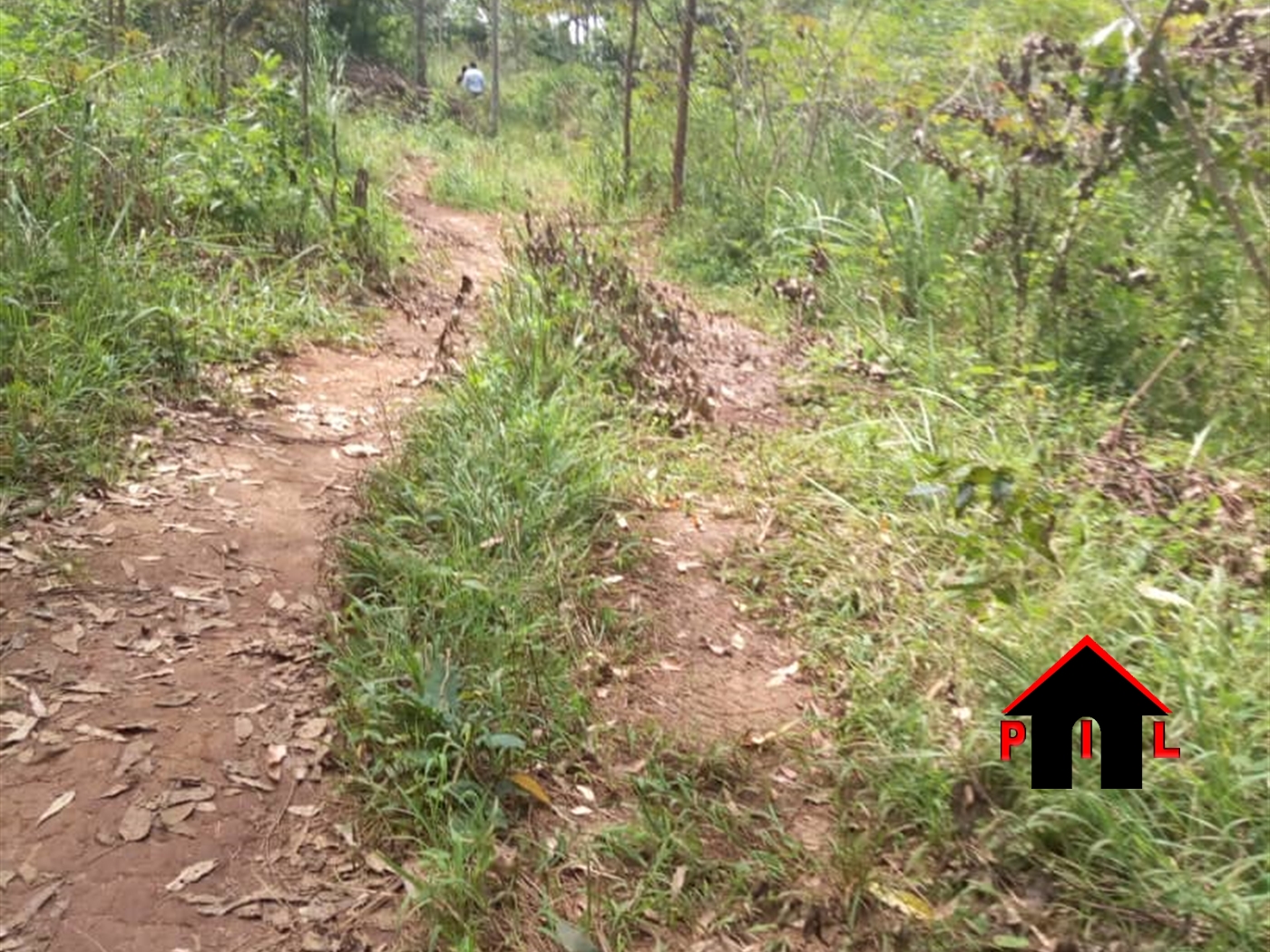 Agricultural Land for sale in Nakawuka Wakiso