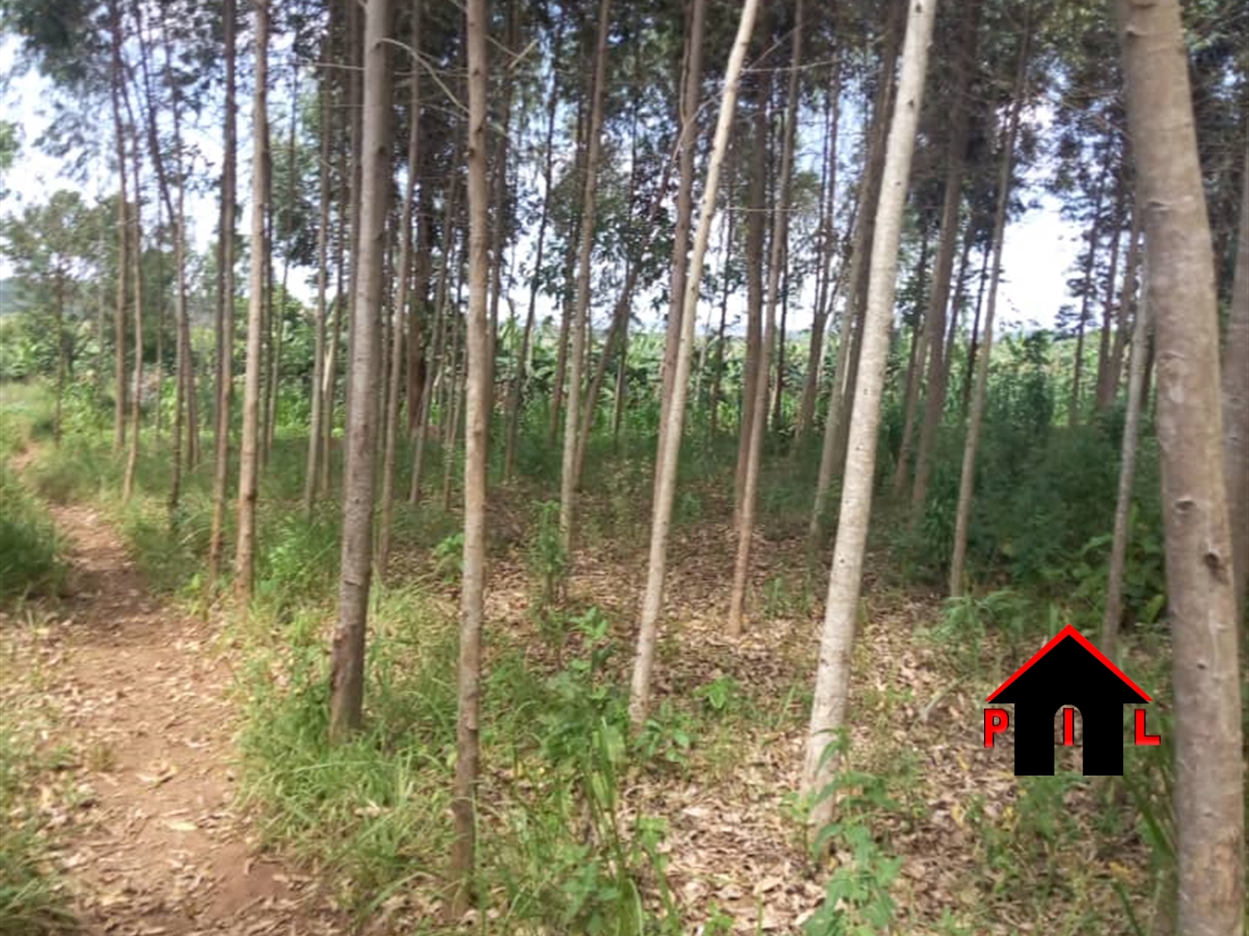 Agricultural Land for sale in Nakawuka Wakiso