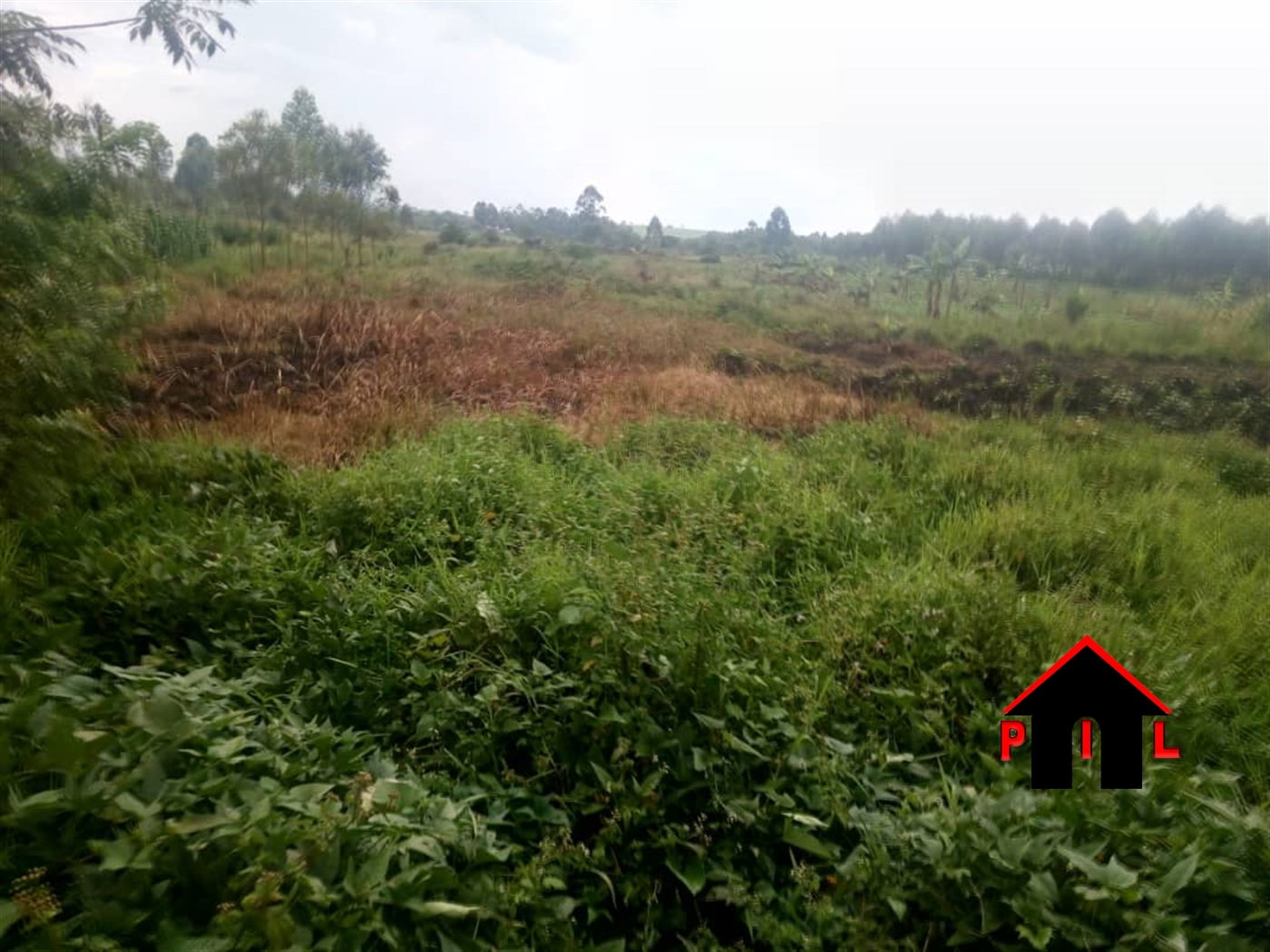 Agricultural Land for sale in Maya Masaka