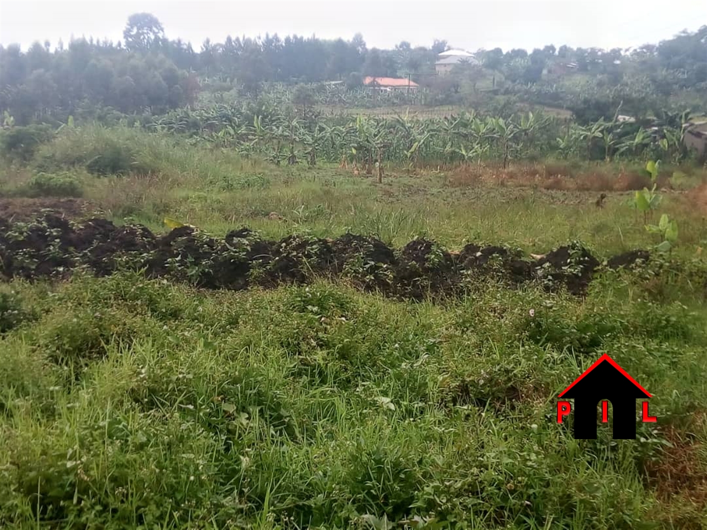 Agricultural Land for sale in Maya Masaka