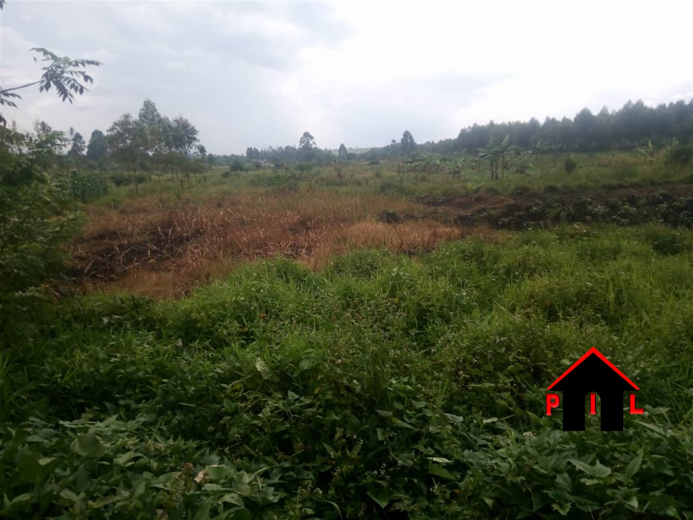 Agricultural Land for sale in Maya Masaka