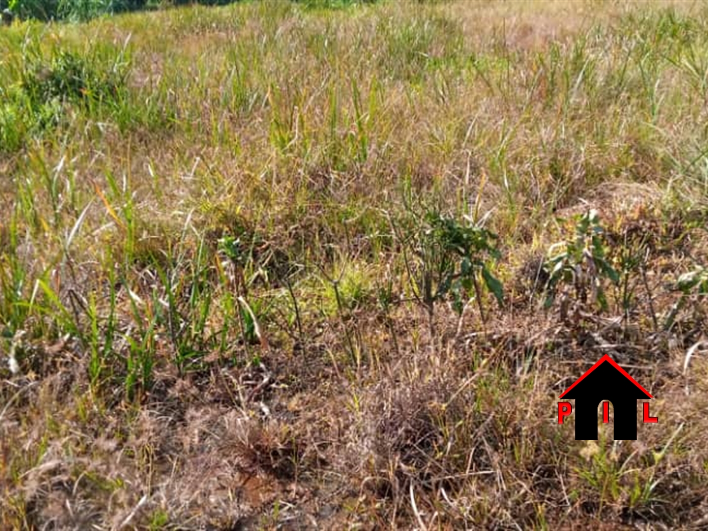 Residential Land for sale in Kitemu Wakiso