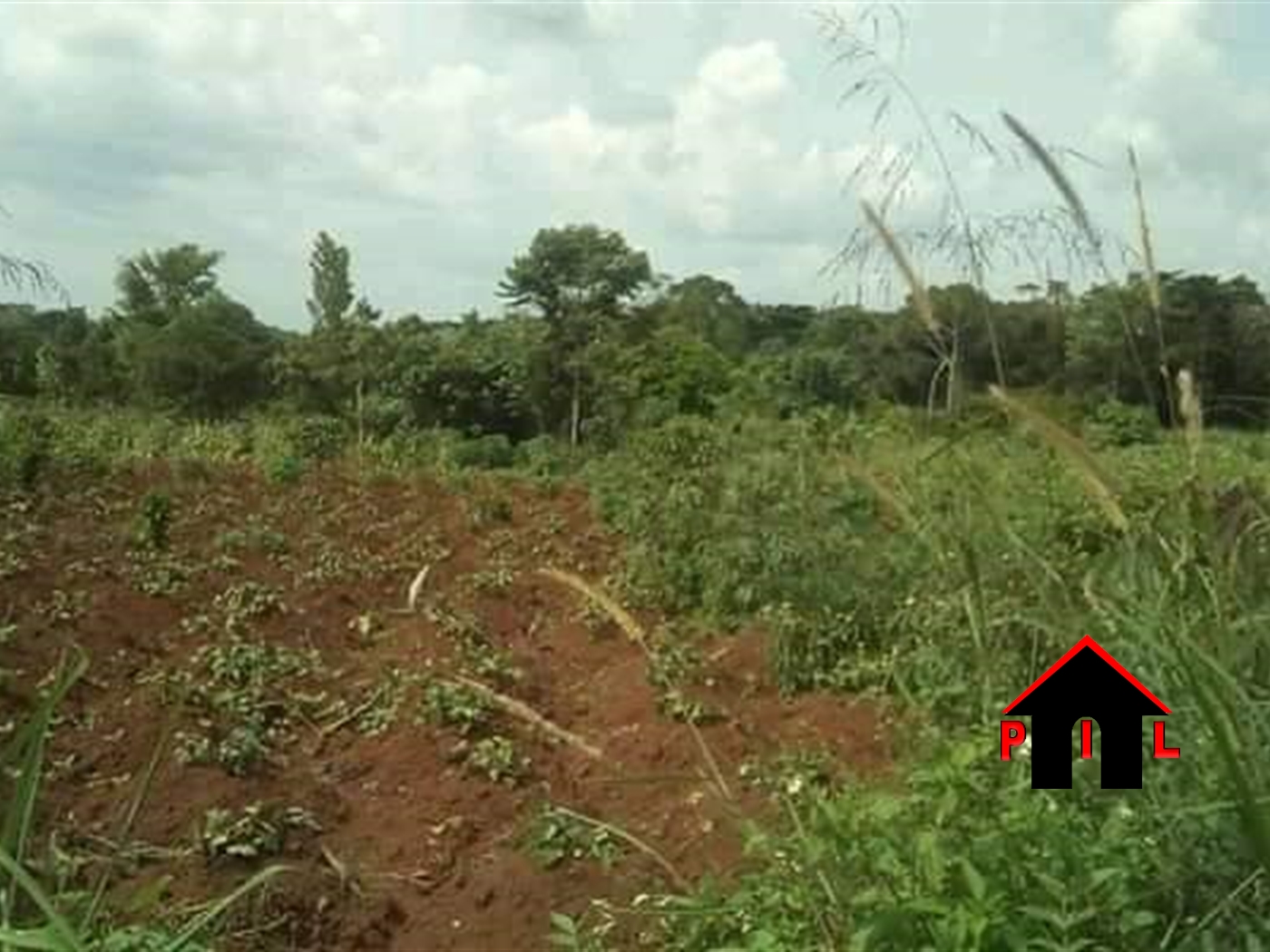 Agricultural Land for sale in Katuugo Luweero