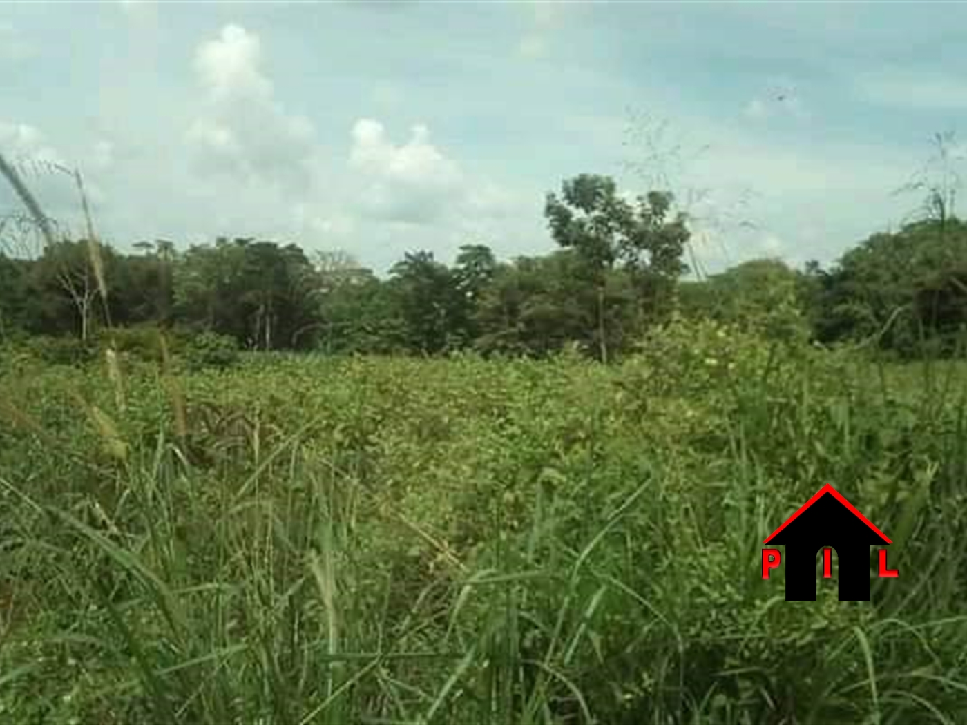 Agricultural Land for sale in Katuugo Luweero