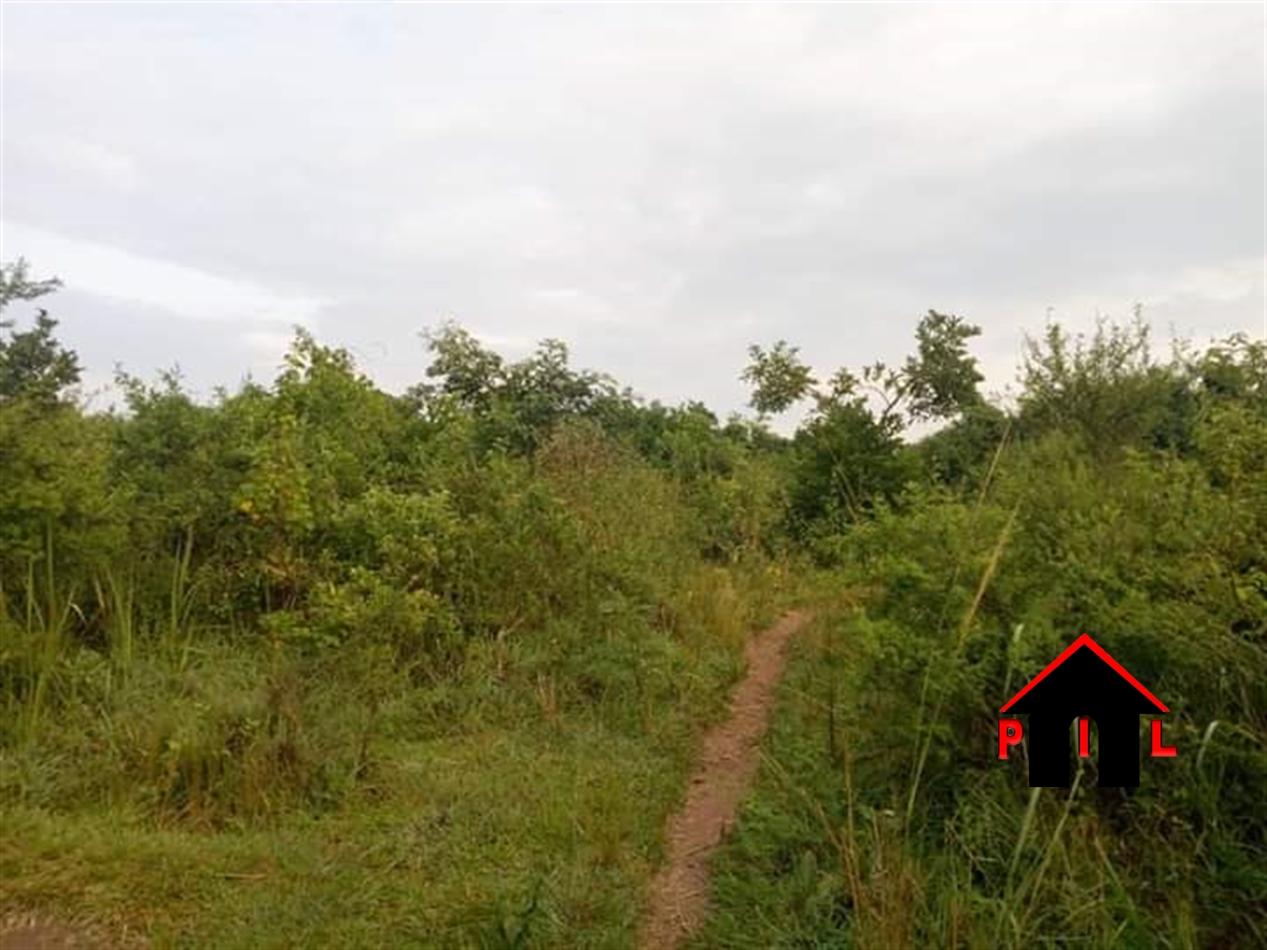 Agricultural Land for sale in Luweero Luweero