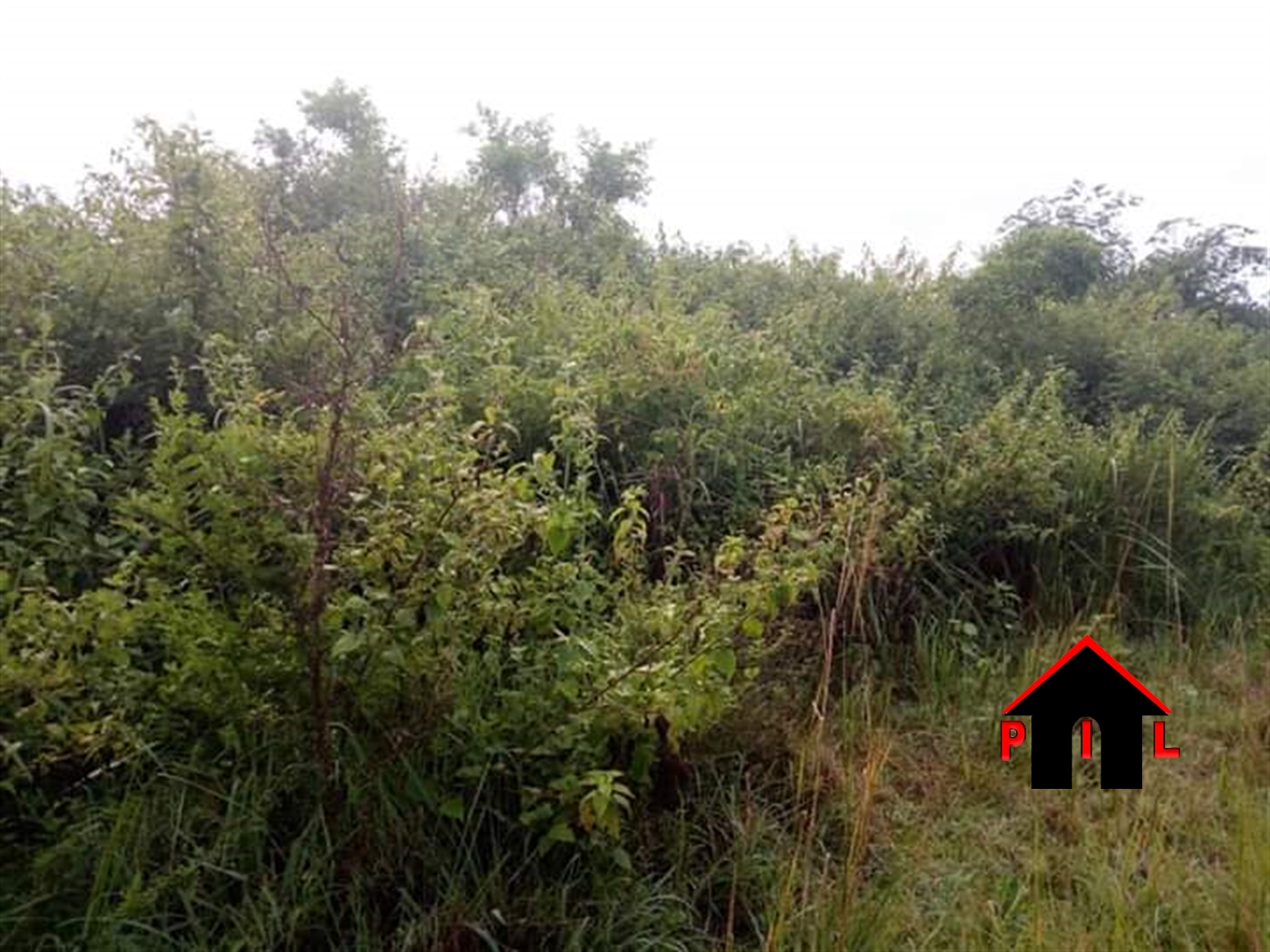 Agricultural Land for sale in Luweero Luweero