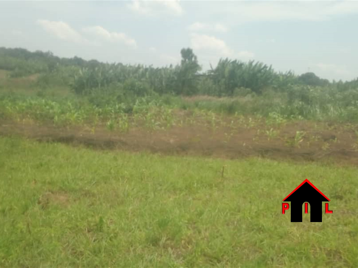 Agricultural Land for sale in Bubuubi Luweero