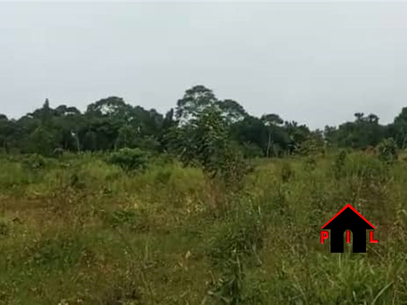 Agricultural Land for sale in Bubuubi Luweero