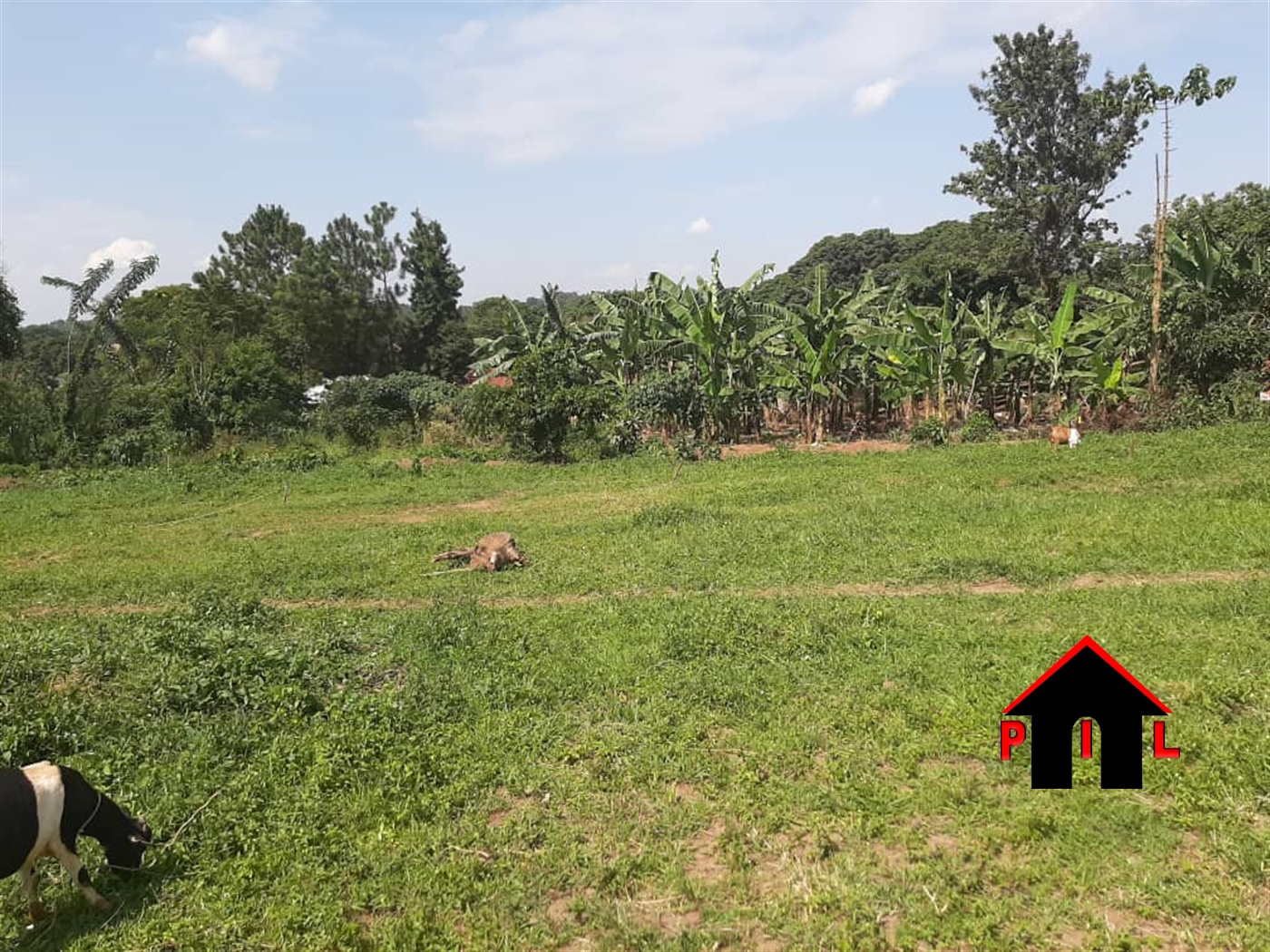 Residential Land for sale in Kiteezi Wakiso