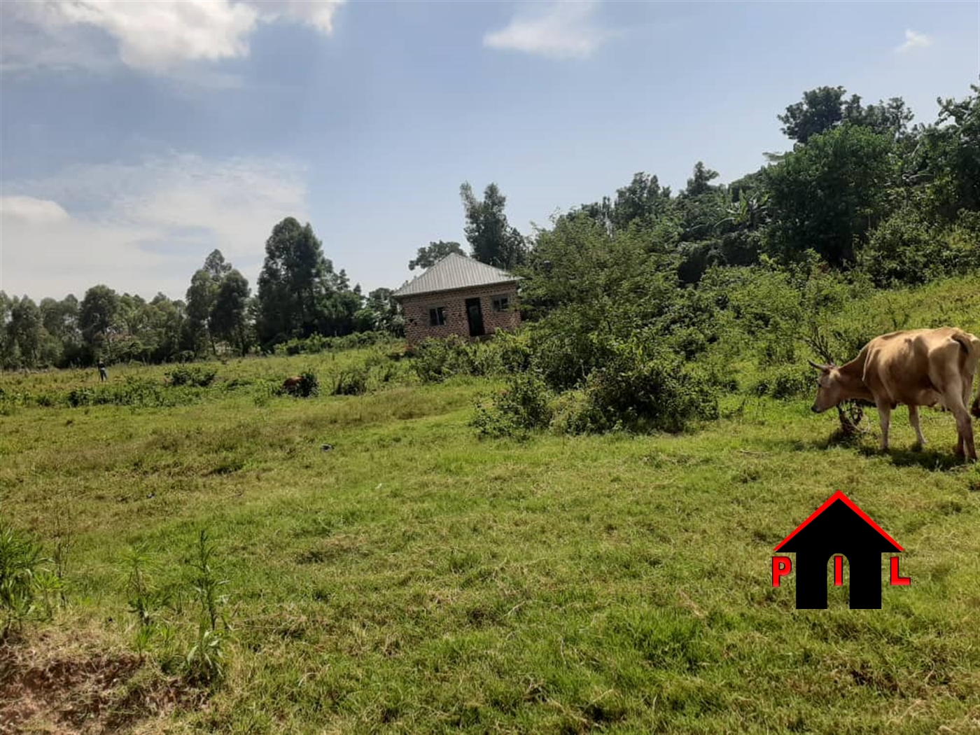 Residential Land for sale in Kiteezi Wakiso