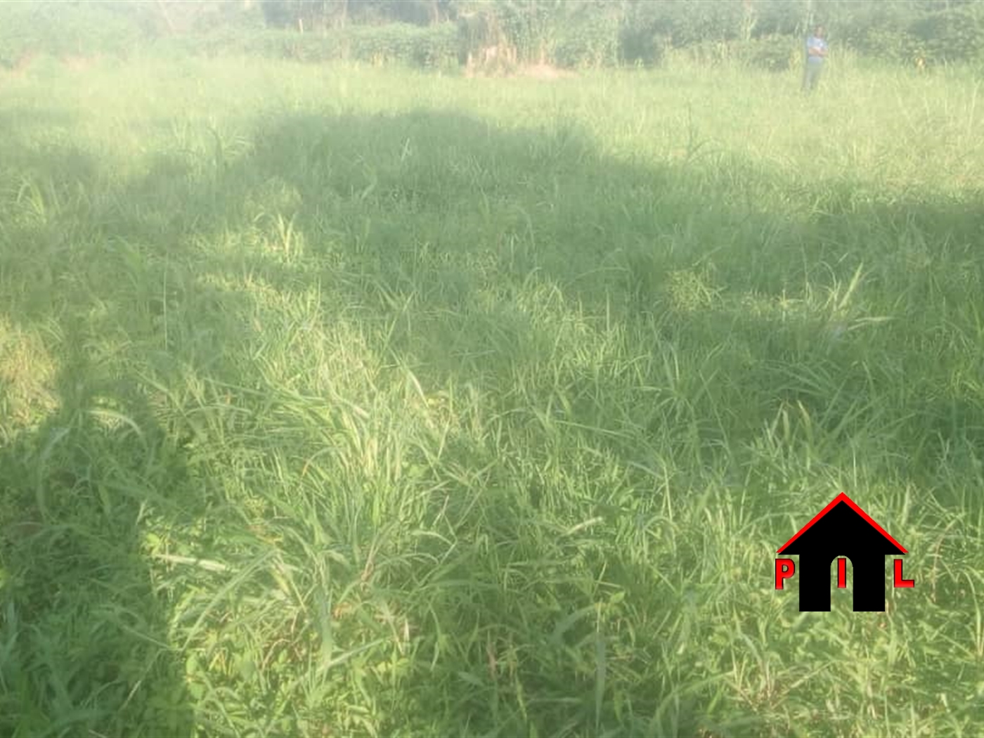 Agricultural Land for sale in Kalule Luweero