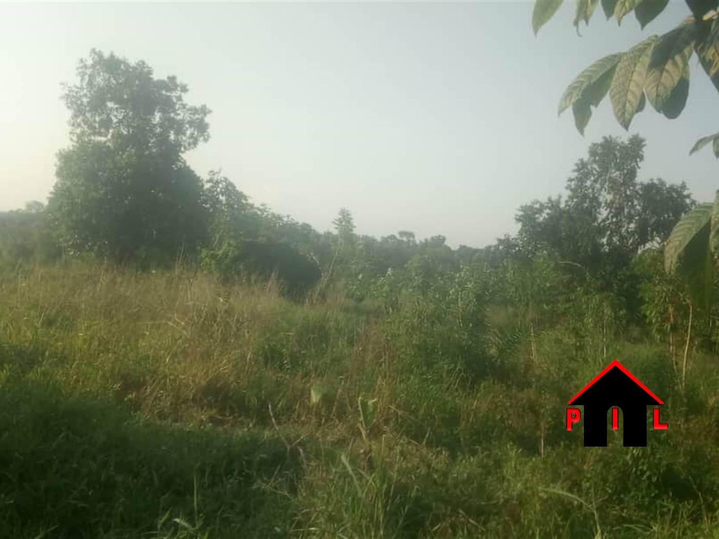 Agricultural Land for sale in Kalule Luwero