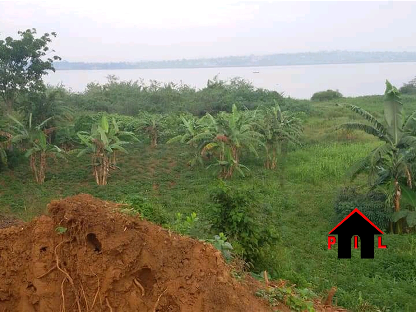 Agricultural Land for sale in Lwezza Kampala
