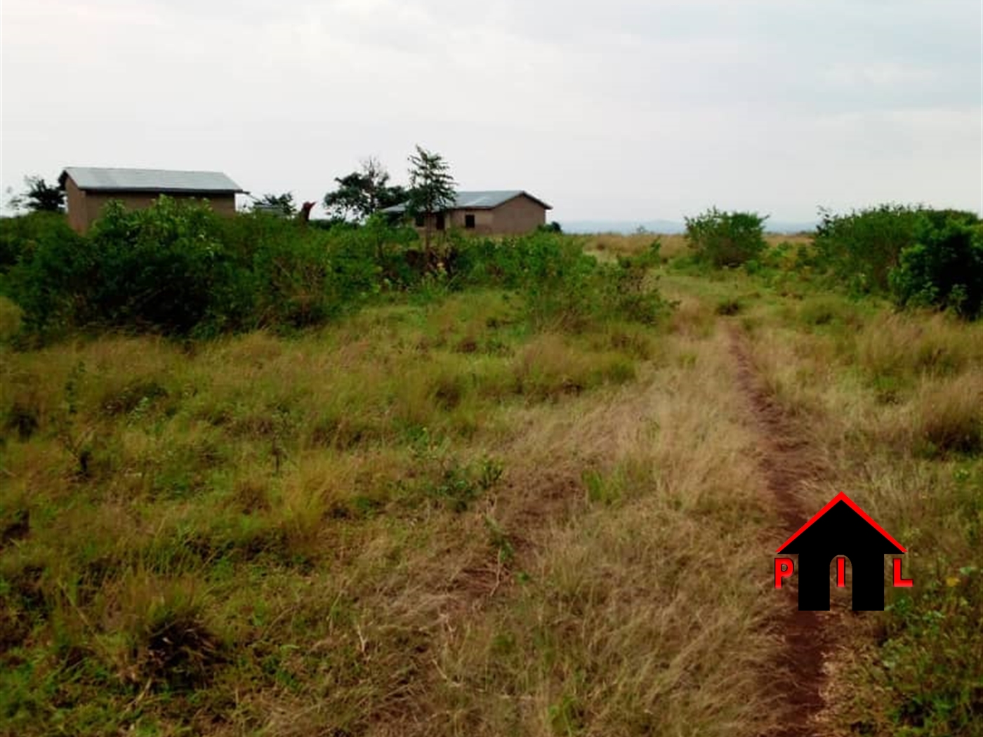 Agricultural Land for sale in Gomba Mubende